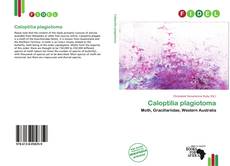 Buchcover von Caloptilia plagiotoma