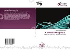 Borítókép a  Caloptilia thiophylla  - hoz