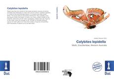 Bookcover of Calybites lepidella 