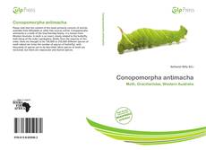 Bookcover of Conopomorpha antimacha