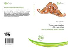 Bookcover of Conopomorpha chionochtha