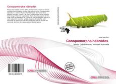 Conopomorpha habrodes 的封面
