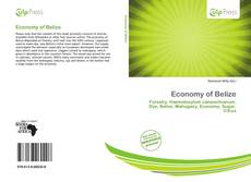 Bookcover of Economy of Belize