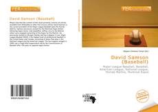 Bookcover of David Samson (Baseball)