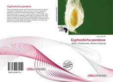 Cyphosticha pandoxa 的封面