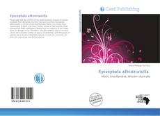 Couverture de Epicephala albistriatella 