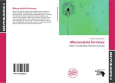 Buchcover von Macarostola formosa