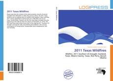 Copertina di 2011 Texas Wildfires