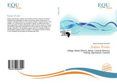 Copertina di Gales Point