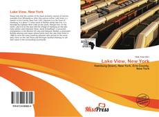 Couverture de Lake View, New York