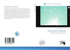 Couverture de Calcarifera ordinata