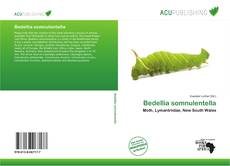 Buchcover von Bedellia somnulentella