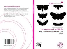 Couverture de Leucoptera strophidota