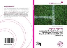 Capa do livro de Angelo Pagotto 