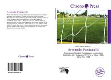 Bookcover of Armando Pantanelli