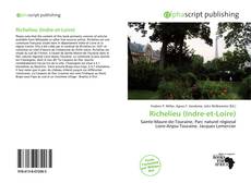 Buchcover von Richelieu (Indre-et-Loire)
