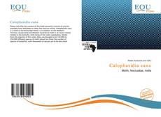 Copertina di Calophasidia cana