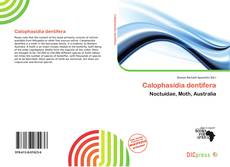 Copertina di Calophasidia dentifera