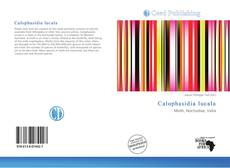 Couverture de Calophasidia lucala
