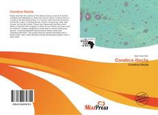 Condica illecta的封面