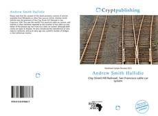 Bookcover of Andrew Smith Hallidie