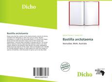 Bastilla arctotaenia的封面