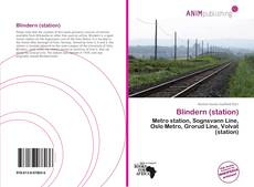 Capa do livro de Blindern (station) 