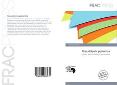 Copertina di Macaldenia palumba