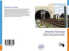 Couverture de Briceville, Tennessee