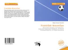 Bookcover of František Brezničan