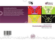 Grammodes pulcherrima的封面