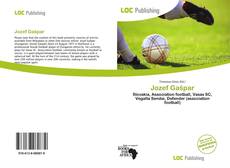 Jozef Gašpar的封面