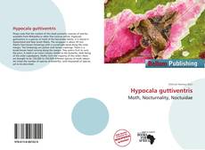 Hypocala guttiventris的封面