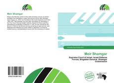 Couverture de Meir Shamgar