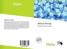 Portada del libro de Adisura litarga