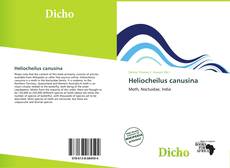 Portada del libro de Heliocheilus canusina