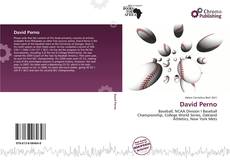 David Perno kitap kapağı