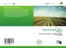 Buchcover von Beaver Bridge (Ohio River)