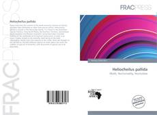 Heliocheilus pallida kitap kapağı