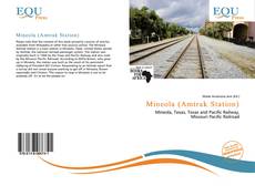 Buchcover von Mineola (Amtrak Station)