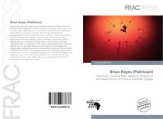 Brian Hayes (Politician) kitap kapağı