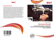 Bookcover of Brendan Howlin