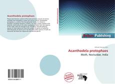 Capa do livro de Acanthodela protophaes 