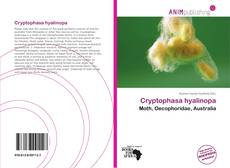 Couverture de Cryptophasa hyalinopa