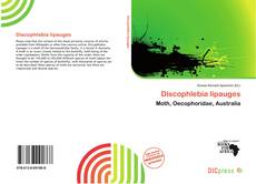 Copertina di Discophlebia lipauges