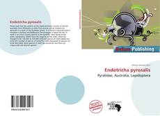 Endotricha pyrosalis的封面
