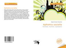 Bookcover of Aphomia sociella