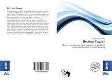 Buchcover von Brizlee Tower