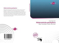 Bookcover of Heteromicta pachytera