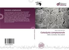 Capa do livro de Cataclysta camptozonale 